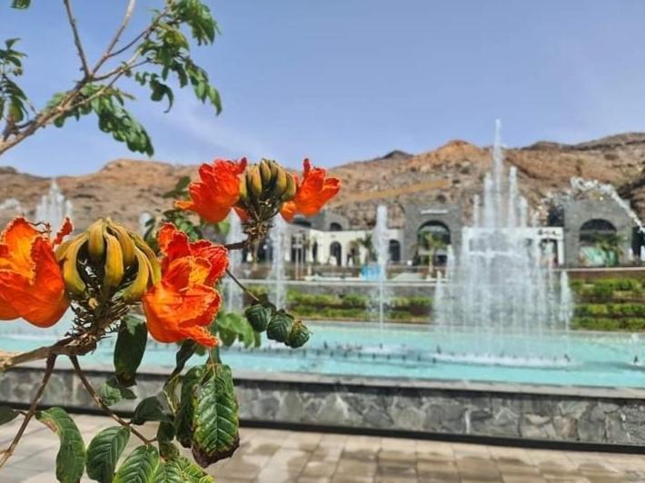 Bonito Apartamento Mogán Dış mekan fotoğraf